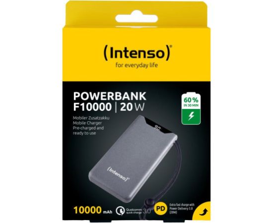 Intenso PowerBank F10000 Grey 10000mAh