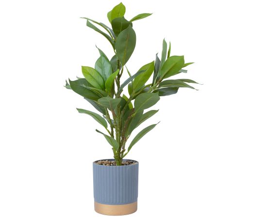 Artificial plant GREENLAND H40cm