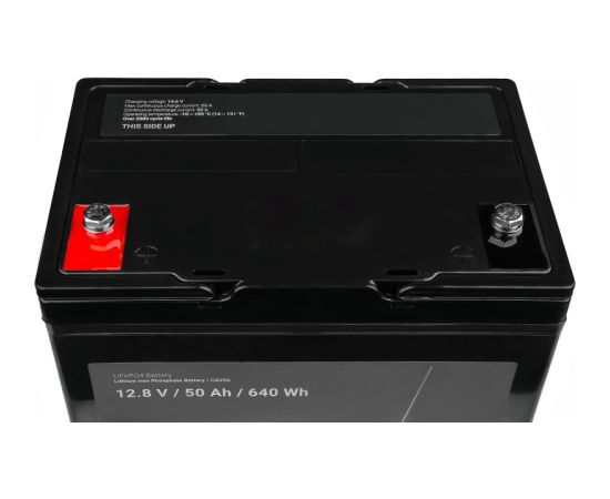 Green Cell CAV06 vehicle battery Lithium Iron Phosphate (LiFePO4) 50 Ah 12.8 V Marine / Leisure