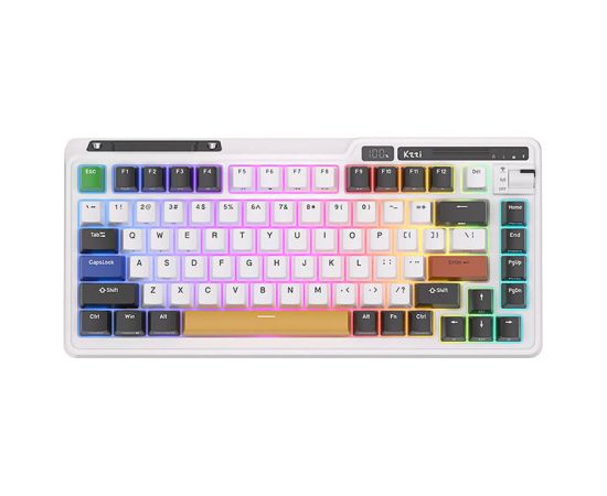 Wireless mechanical keyboard Royal Kludge KZZI K75 pro RGB, Moment Switch (black and white)