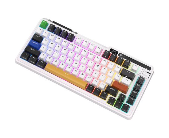 Wireless mechanical keyboard Royal Kludge KZZI K75 pro RGB, Moment Switch (black and white)