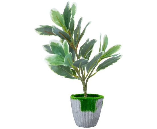 Artificial plant GREENLAND H27cm