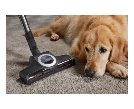 Miele Complete C3 Cat & Dog Flex Red Mango Bag Vacuum Cleaner