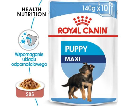 Royal Canin Karma Shn Maxi puppy w sosie 10x140 g