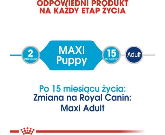 Royal Canin Karma Shn Maxi puppy w sosie 10x140 g