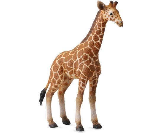 Collecta Reticulated giraffe calf (L) 88535