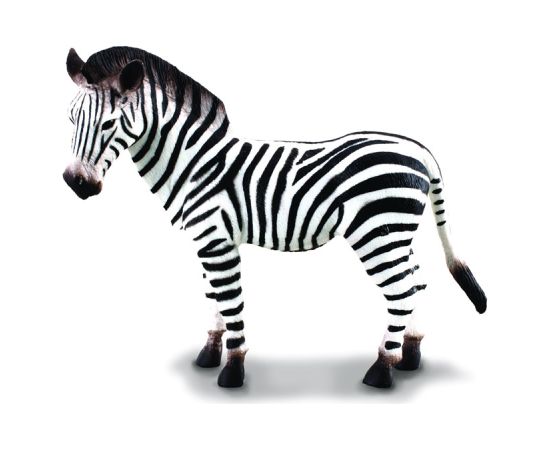 COLLECTA (L) Common Zebra 88032