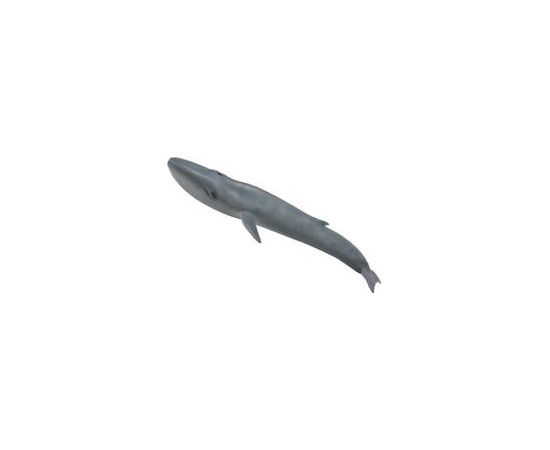 COLLECTA Blue whale (XL), 88834