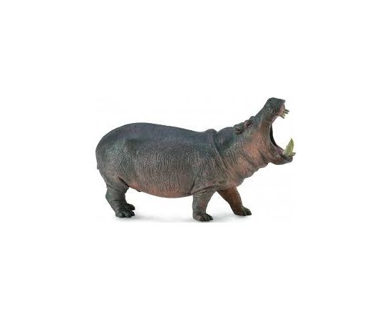 COLLECTA Hippopotamus (XL), 88833