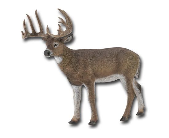 COLLECTA White Tailed deer (L), 88832