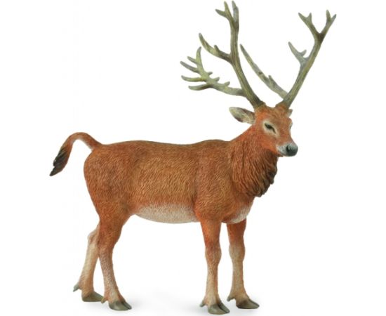 COLLECTA P?re David's deer (L), 88829