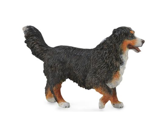 Collecta Bernese mountain dog  L, 88801