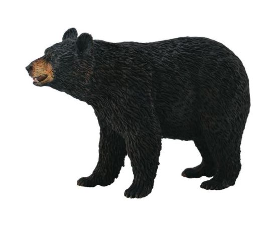 COLLECTA American Black Bear (L), 88698