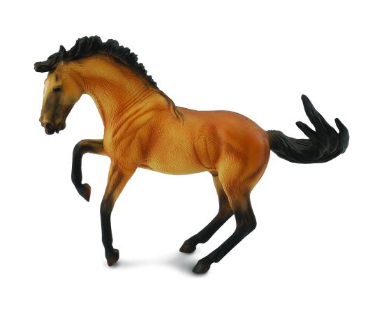 COLLECTA (XL)  Lusitano briežkrāsas ērze