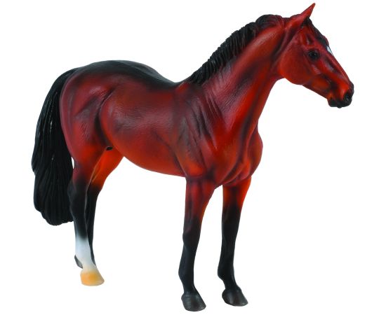 COLLECTA (XL)  Hanoverian Stallion Bay 88431