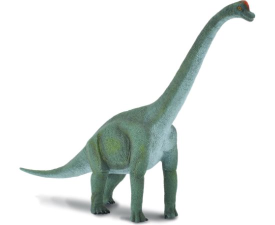 COLLECTA (L) Brachiosaurus 88121