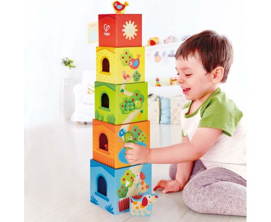 HAPE blocks Friendship Tower, E0451A