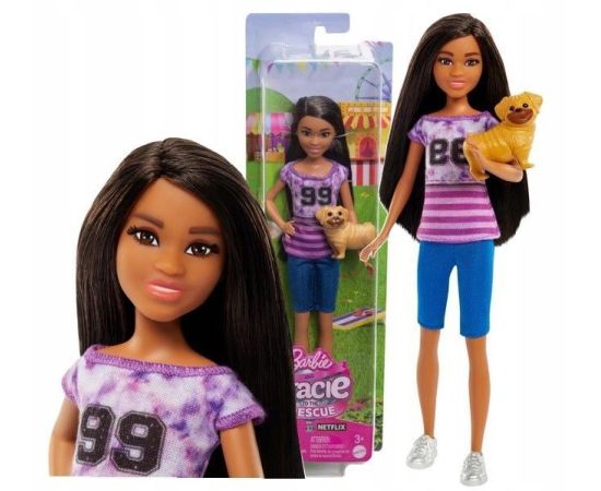 Lelle Barbie Mattel LIGAYA HRM06 WB4