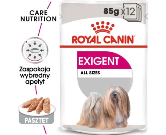 Royal Canin ROYAL CANIN CCN Exigent 12x85g karma mokra - pasztet dla psów dorosłych, wybrednych