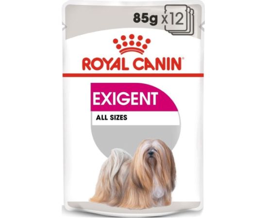 Royal Canin ROYAL CANIN CCN Exigent 12x85g karma mokra - pasztet dla psów dorosłych, wybrednych