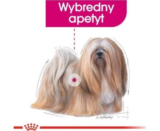 Royal Canin Royal Canin Exigent karma mokra dla wybrednych psów dorosłych, wszystkich ras, pasztet saszetka 85g