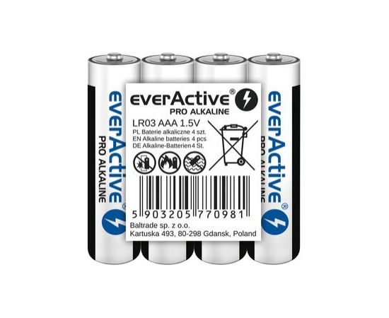 Alkaline batteries AAA / LR03 everActive Pro 4 pcs