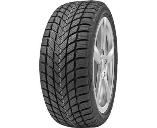 Delinte Winter WD6 195/55R16 87H