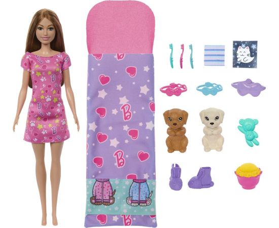 Mattel Barbie: Puppy Slumber Party Doll (HXN01)