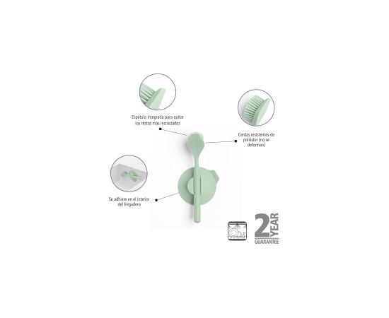 BRABANTIA trauku suka ar turētāju, Jade Green - 215780