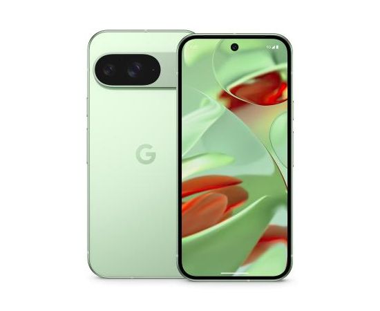 Google Pixel 9 5G 12/256GB Winter Green