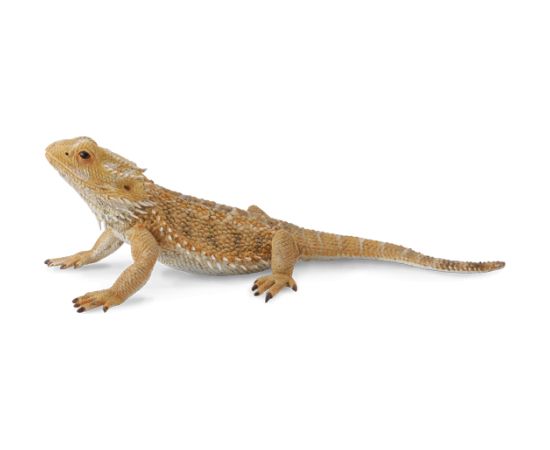 Collecta Bearded dragon lizard (L) 88567