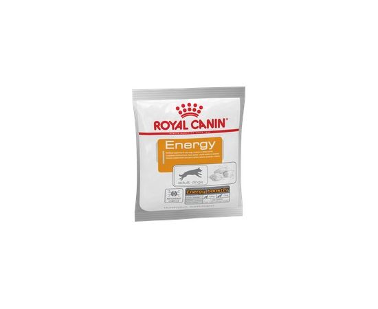 Royal Canin NUTRITIONAL SUPPLEMENT ENERGY - wet dog food - 50 g