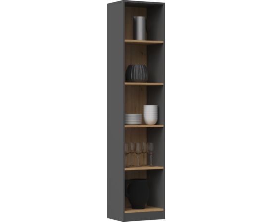 Top E Shop Topeshop R40 ANT/ART office bookcase