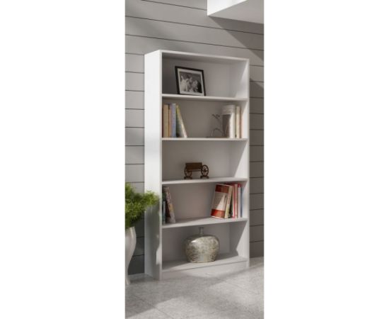 Top E Shop Topeshop R80 BIEL office bookcase