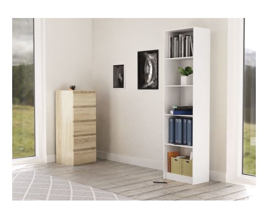 Top E Shop Topeshop R50 BIEL office bookcase