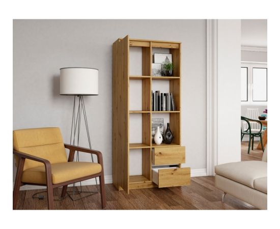 Top E Shop Topeshop RS-80 BILY ART office bookcase