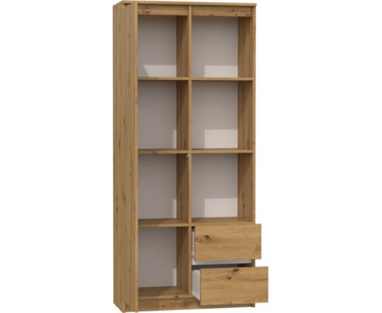 Top E Shop Topeshop RS-80 BILY ART office bookcase