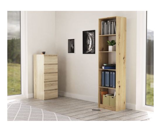 Top E Shop Topeshop R50 ARTISAN office bookcase