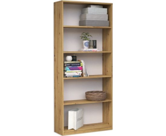 Top E Shop Topeshop R60 ARTISAN office bookcase