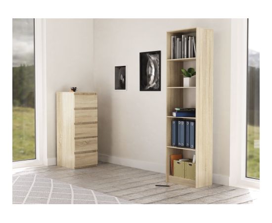 Top E Shop Topeshop R50 SONOMA office bookcase