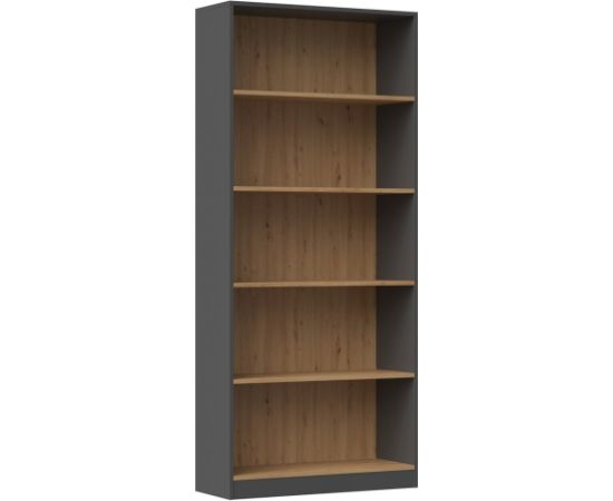 Top E Shop Topeshop R80 ANT/ART office bookcase