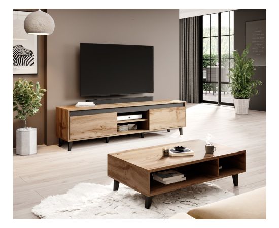 Cama Meble Cama TV stand NORD II 170cm wotan/antracite