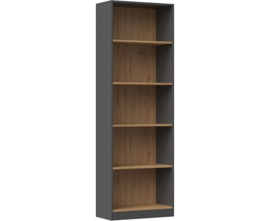 Top E Shop Topeshop R60 ANT/ART office bookcase