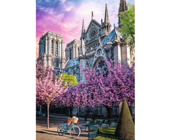 TREFL Premium Plus Пазл Notre-Dame Cathedral of Paris, 1000 шт.