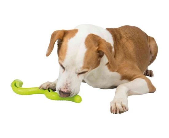 TRIXIE Snack-Snake - Dog toy - 27cm