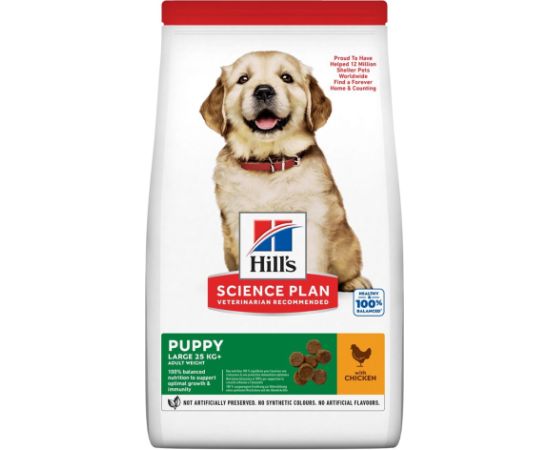 HILL'S Canine Puppy Large Breed 14,5 kg