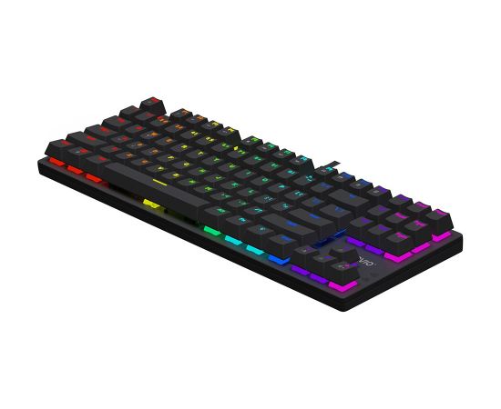 Savio Tempest x2 RGB mechanical keyboard, Outemu BLUE