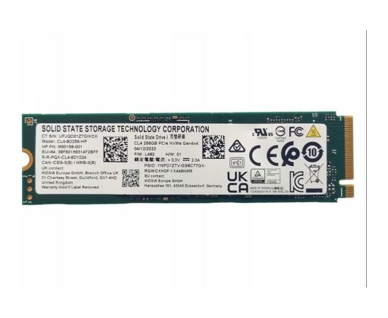 Dysk SSD Kioxia 256GB M.2 NVMe Gen4x4