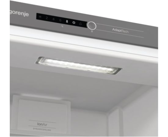 Gorenje RI518EA1