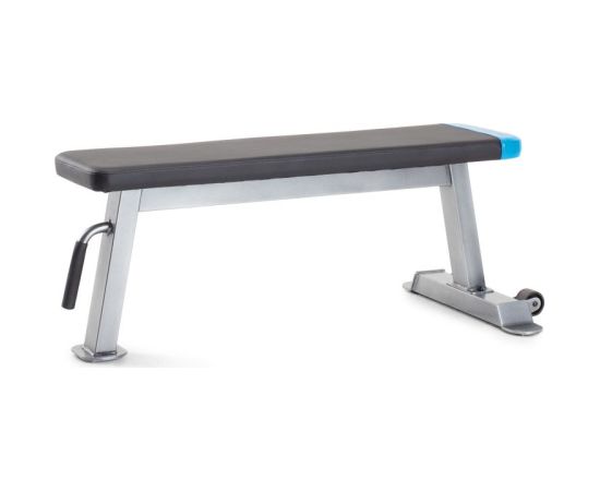 Proform Carbon Strength PFBE09620 horizontal bench